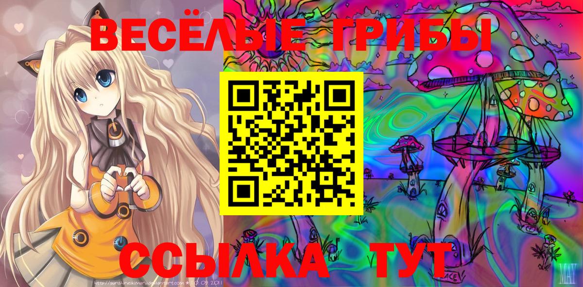 Галлюциногенные грибы GOLDEN TEACHER  Вход с VPN  Альметьевск 