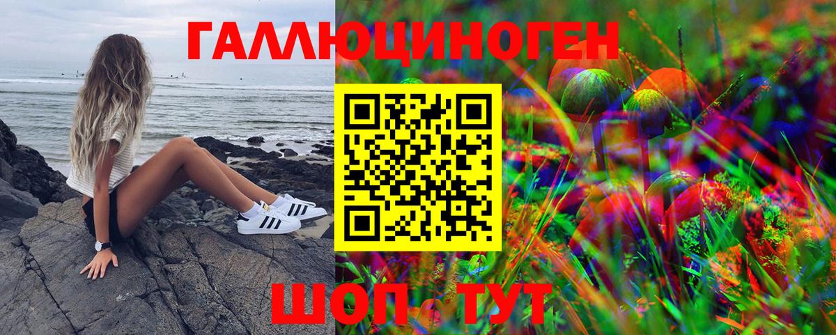 Псилоцибиновые грибы мухоморы Альметьевск